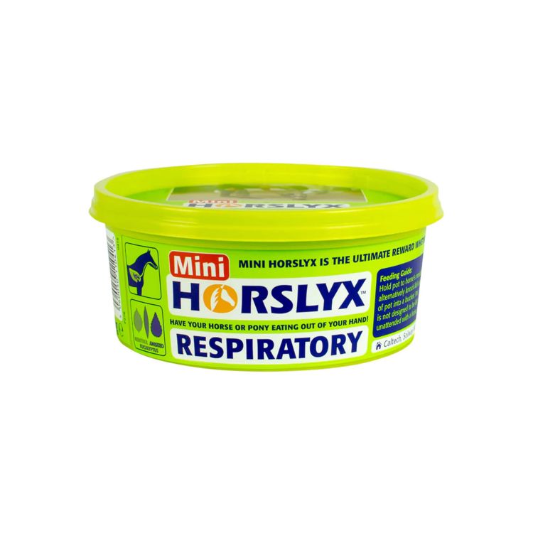 HORSLYX RESPIRATORY MINI 650g