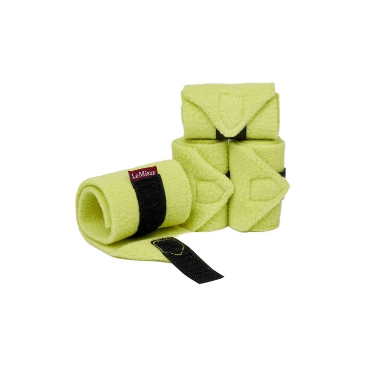 TOY PONY BANDAGES KIWI