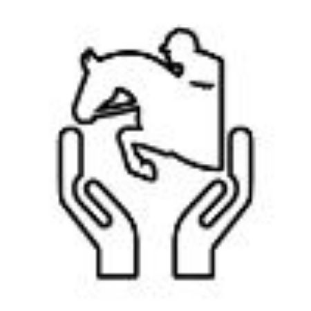 Show products in category Horse Care Picture for category Horse Care