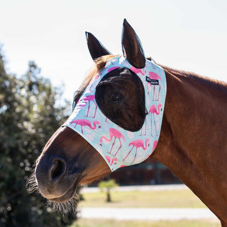 Lycra anti-fly mask with ear cover net