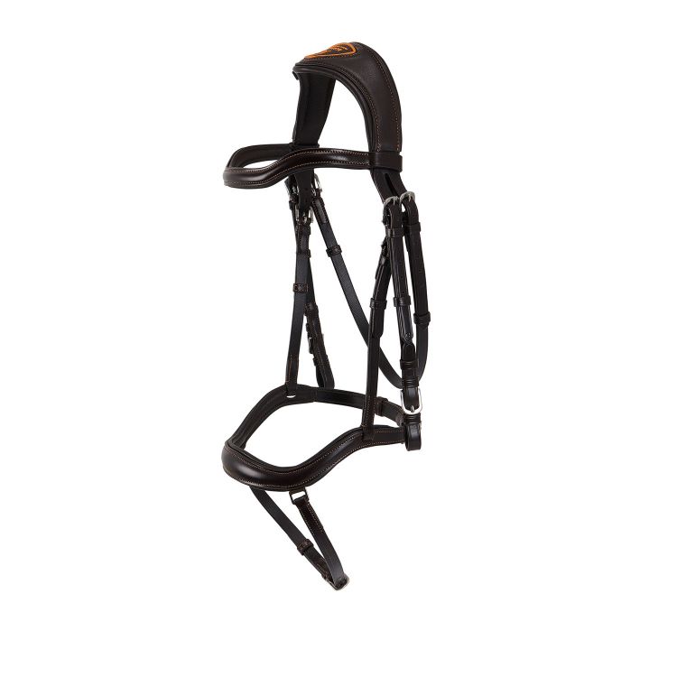 Allegoria anatomic bridle