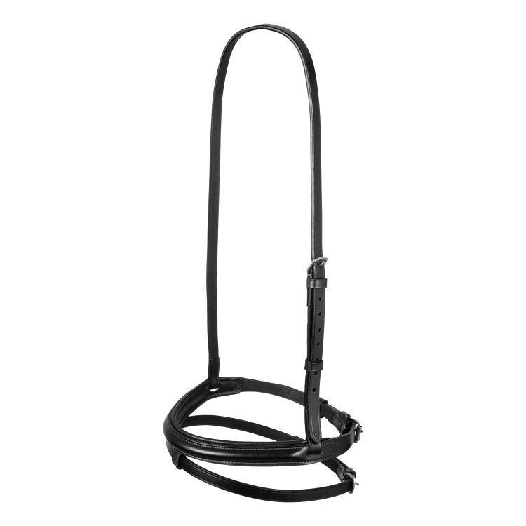 Leather flash noseband bridle