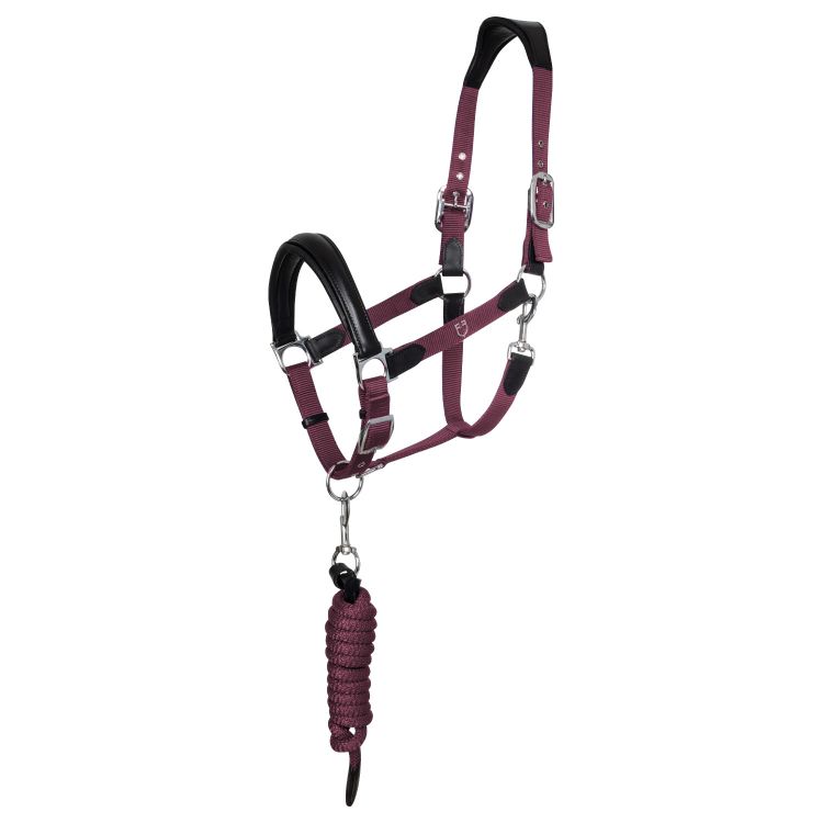 Ergonomic halter with leather inserts