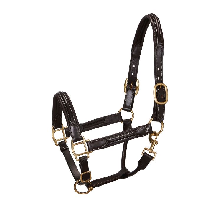 Soft leather halter with durable buckles