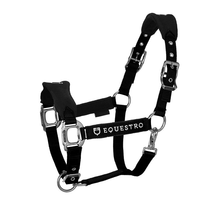 Halter with double adjustment and lead rope