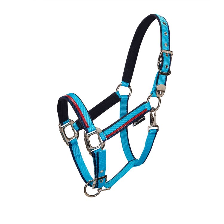 Double adjustment halter