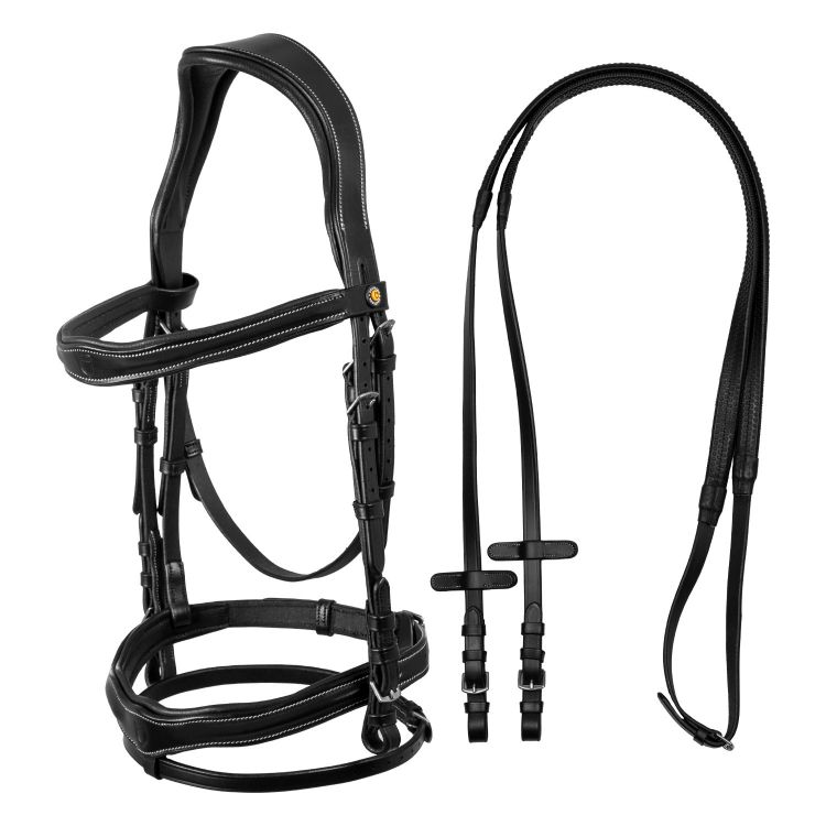 Anatomical bridle with logo