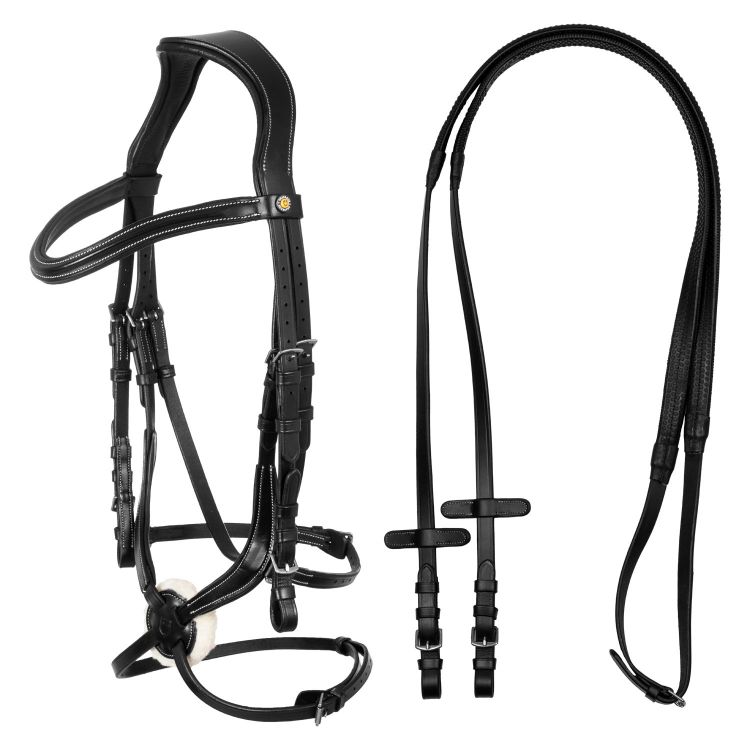 Mexican leather bridle