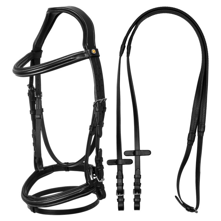 Raised and padded anatomical bridle