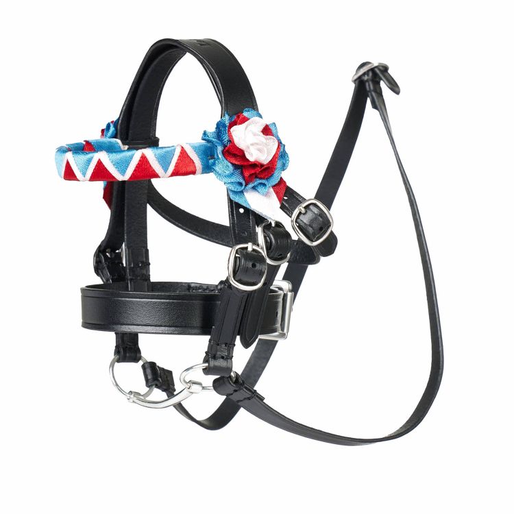 TOY PONY SHOWING BRIDLE BLACK