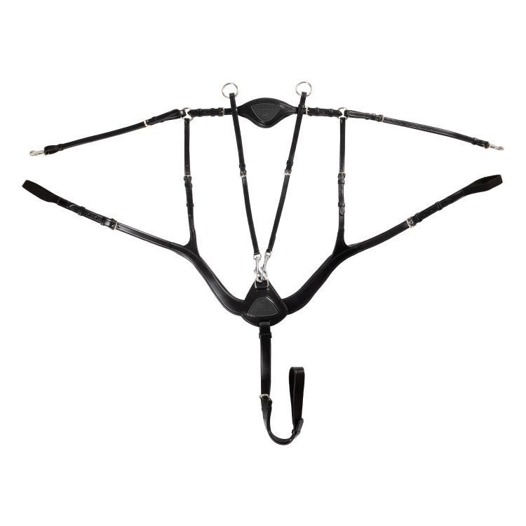 Anatomical 5-point breastplate