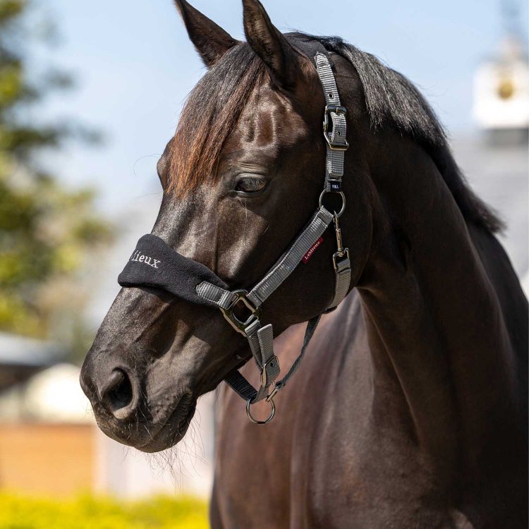VOGUE HEADCOLLAR & LEADROPE BLACK