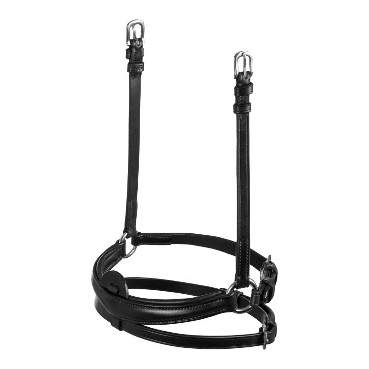 Flash noseband quick coupling
