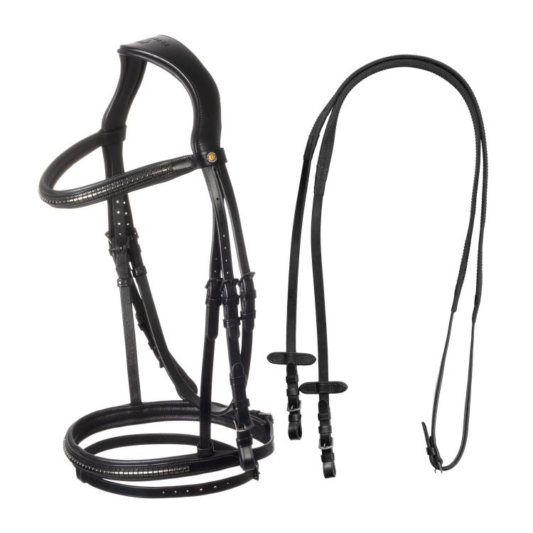 Leather bridle with black clincher