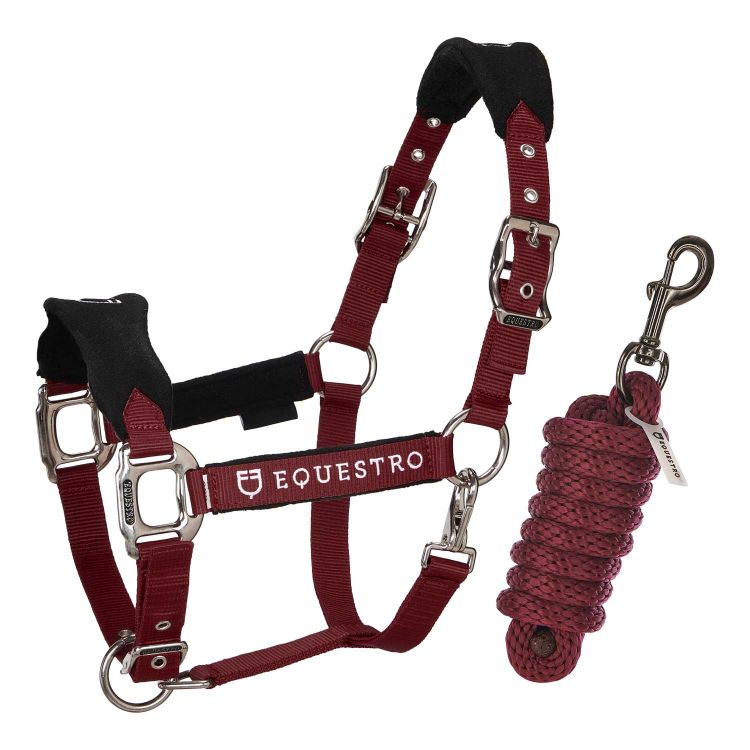Halter with double adjustment and lead rope