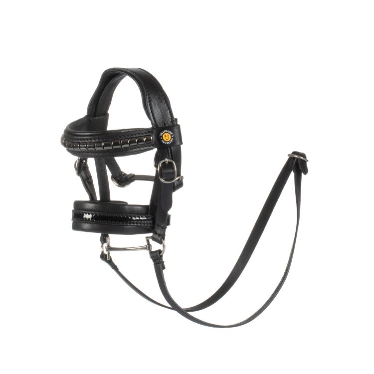 Leather bridle for toy horse with silver clinchers
