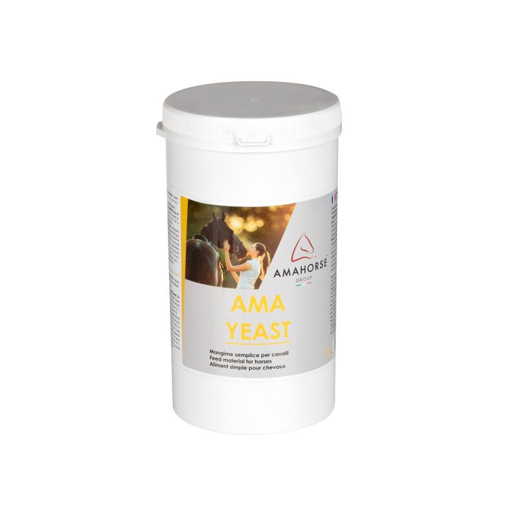 AMA YEAST LIEVITO DI BIRRA (1 KG)