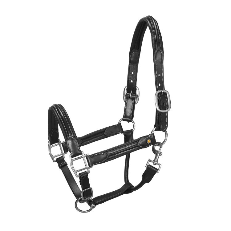 Soft leather halter with durable buckles NEW